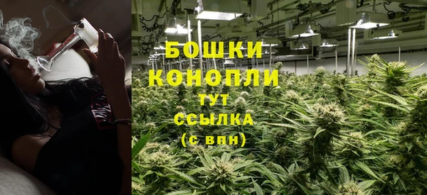 амф Зерноград